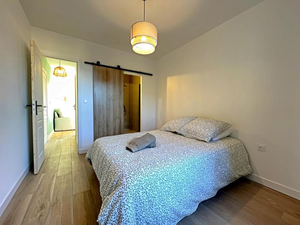 Appartement Coup De Coeur. St Etienne-Rochetaillee Saint-Etienne  Eksteriør billede