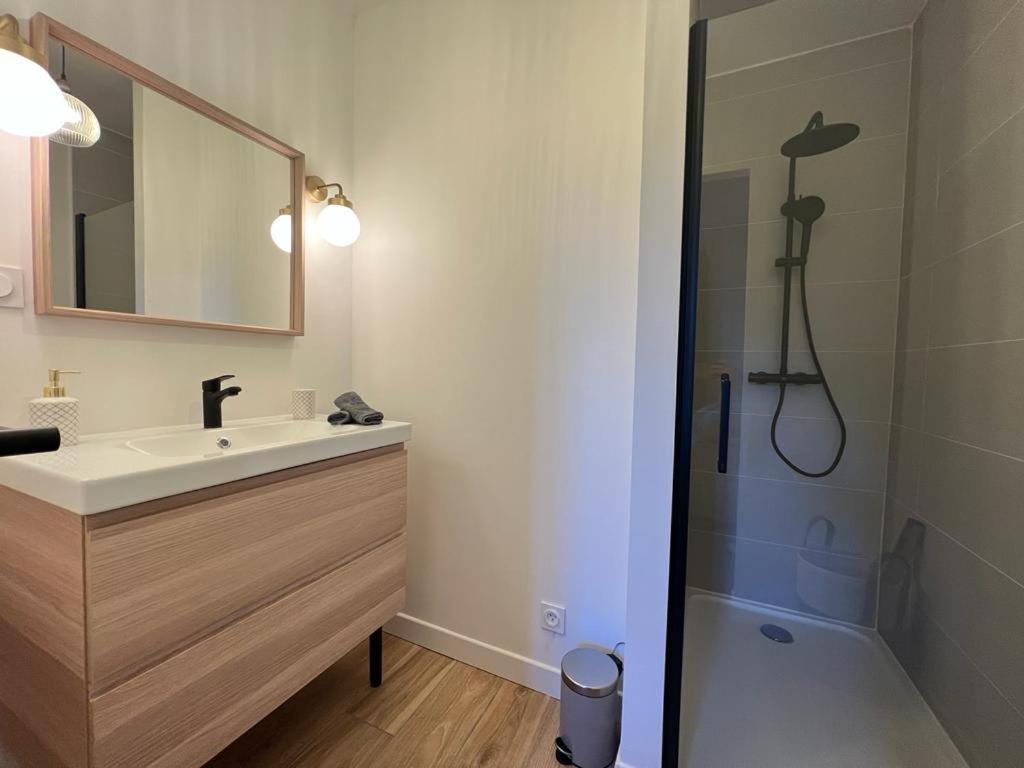 Appartement Coup De Coeur. St Etienne-Rochetaillee Saint-Etienne  Eksteriør billede