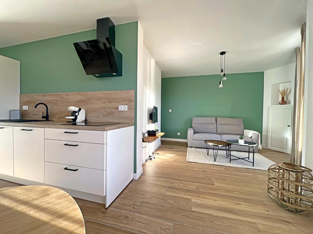 Appartement Coup De Coeur. St Etienne-Rochetaillee Saint-Etienne  Eksteriør billede