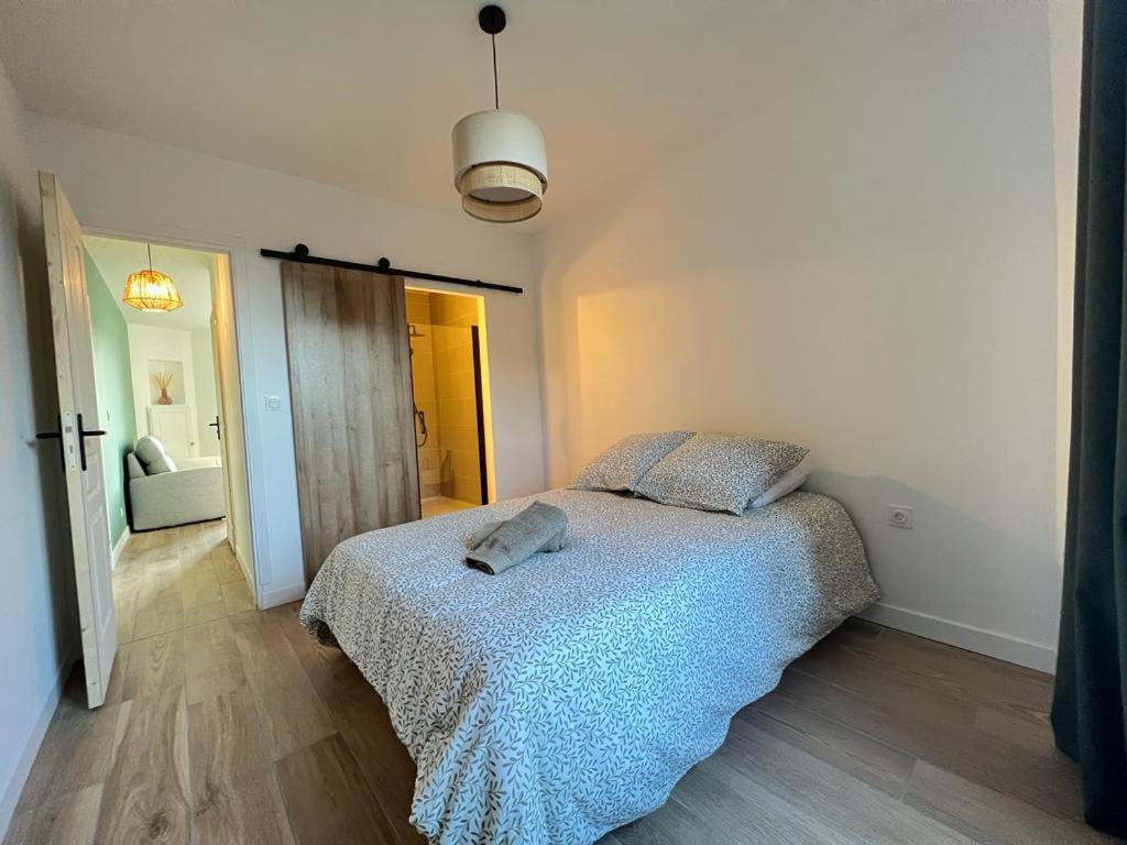 Appartement Coup De Coeur. St Etienne-Rochetaillee Saint-Etienne  Eksteriør billede